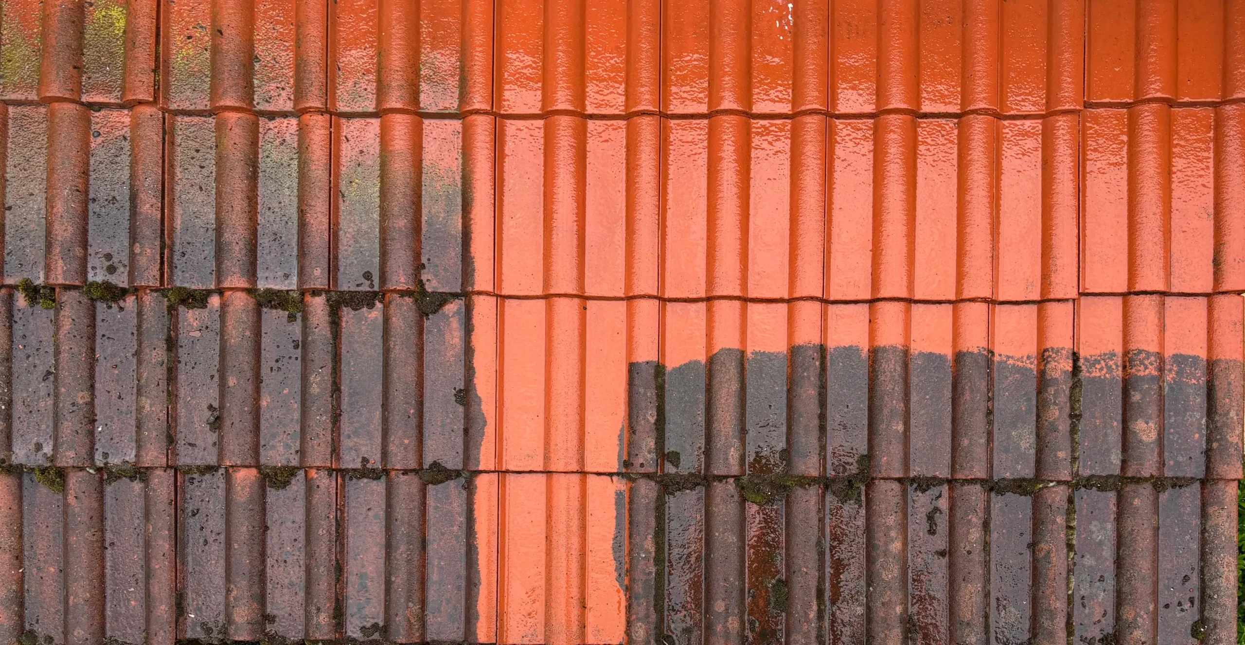 Dach nach der Reinigung