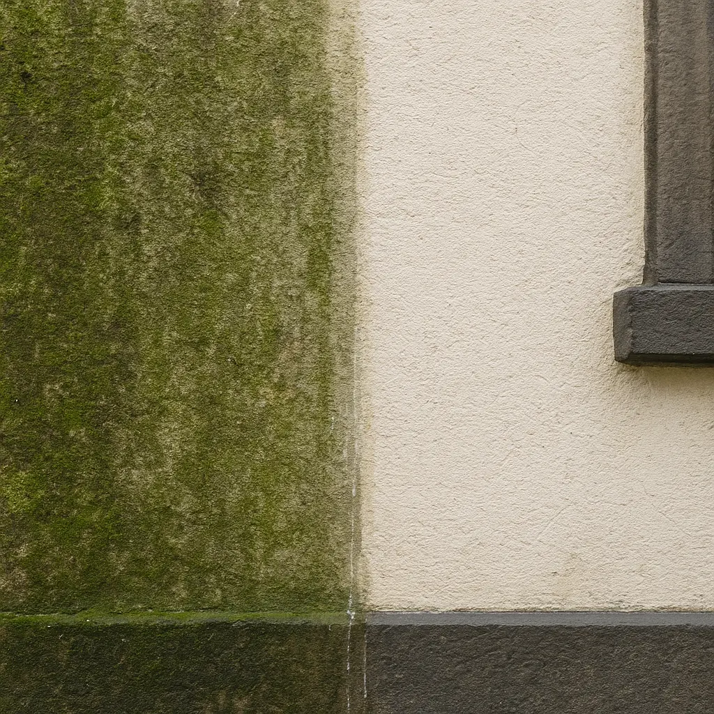 Fassadenreinigung Wirsberg 95339 – TR Dach Stein Fassade, Ihr Ansprechpartner in Wirsberg für Fassadenreinigung
